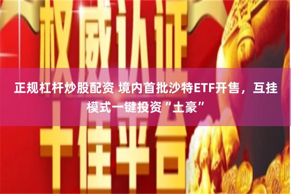 正规杠杆炒股配资 境内首批沙特ETF开售，互挂模式一键投资“土豪”