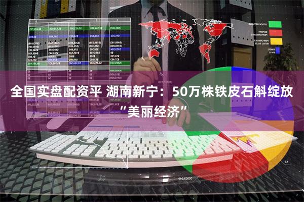 全国实盘配资平 湖南新宁：50万株铁皮石斛绽放“美丽经济”