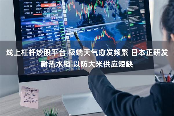 线上杠杆炒股平台 极端天气愈发频繁 日本正研发耐热水稻 以防大米供应短缺