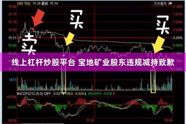 线上杠杆炒股平台 宝地矿业股东违规减持致歉