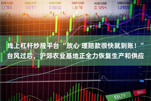 线上杠杆炒股平台 “放心 理赔款很快就到账!”台风过后,沪郊农业基地正全力恢复生产和供应
