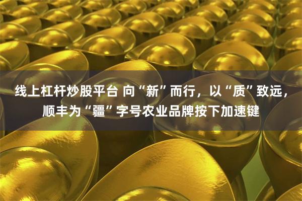 线上杠杆炒股平台 向“新”而行，以“质”致远，顺丰为“疆”字